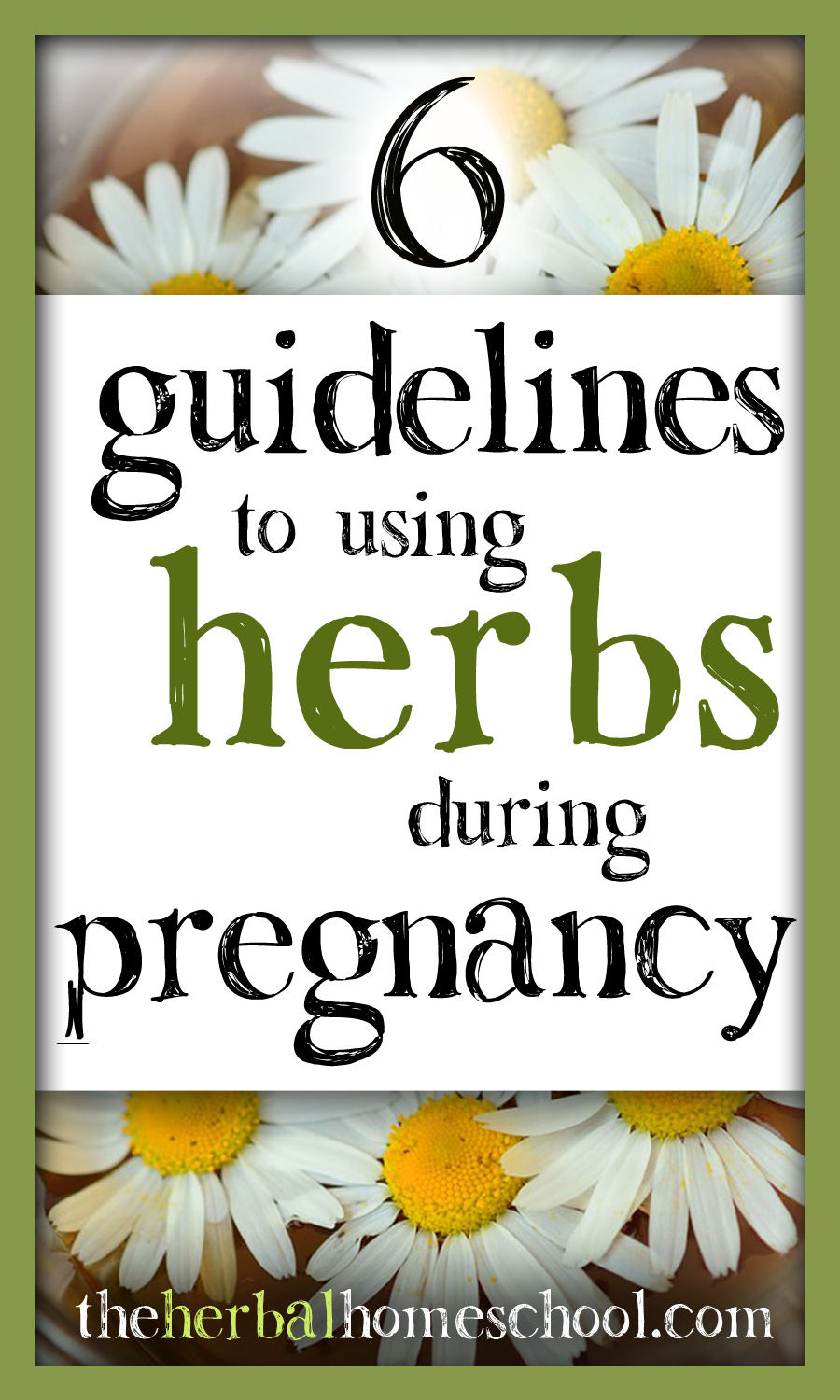 6-guidelines-to-using-herbs-during-pregnancy-the-herbal-homeschool