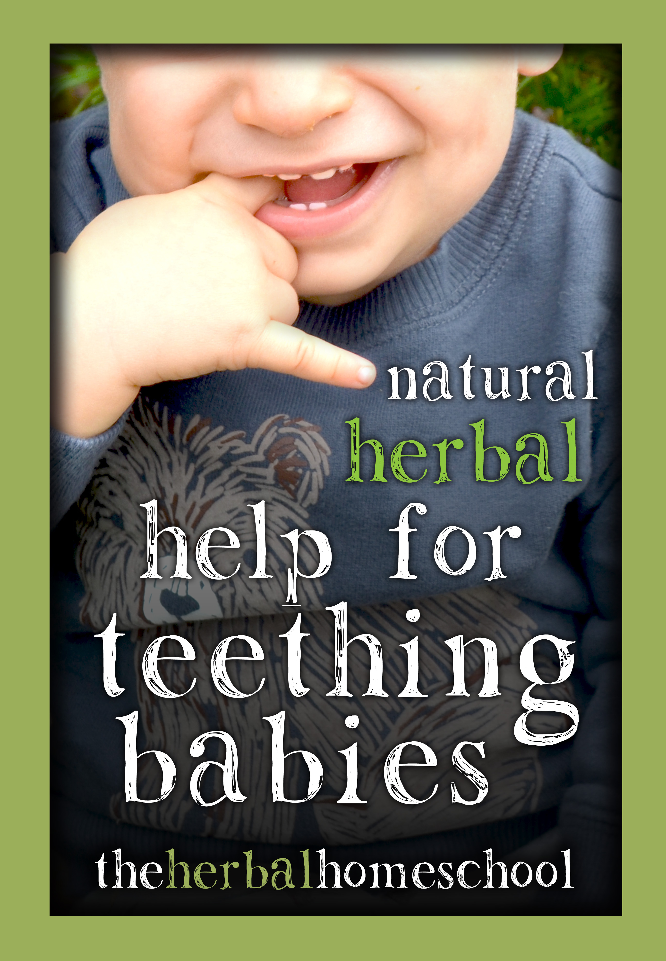 Natural Herbal Help For Teething Babies – The Herbal Homeschool